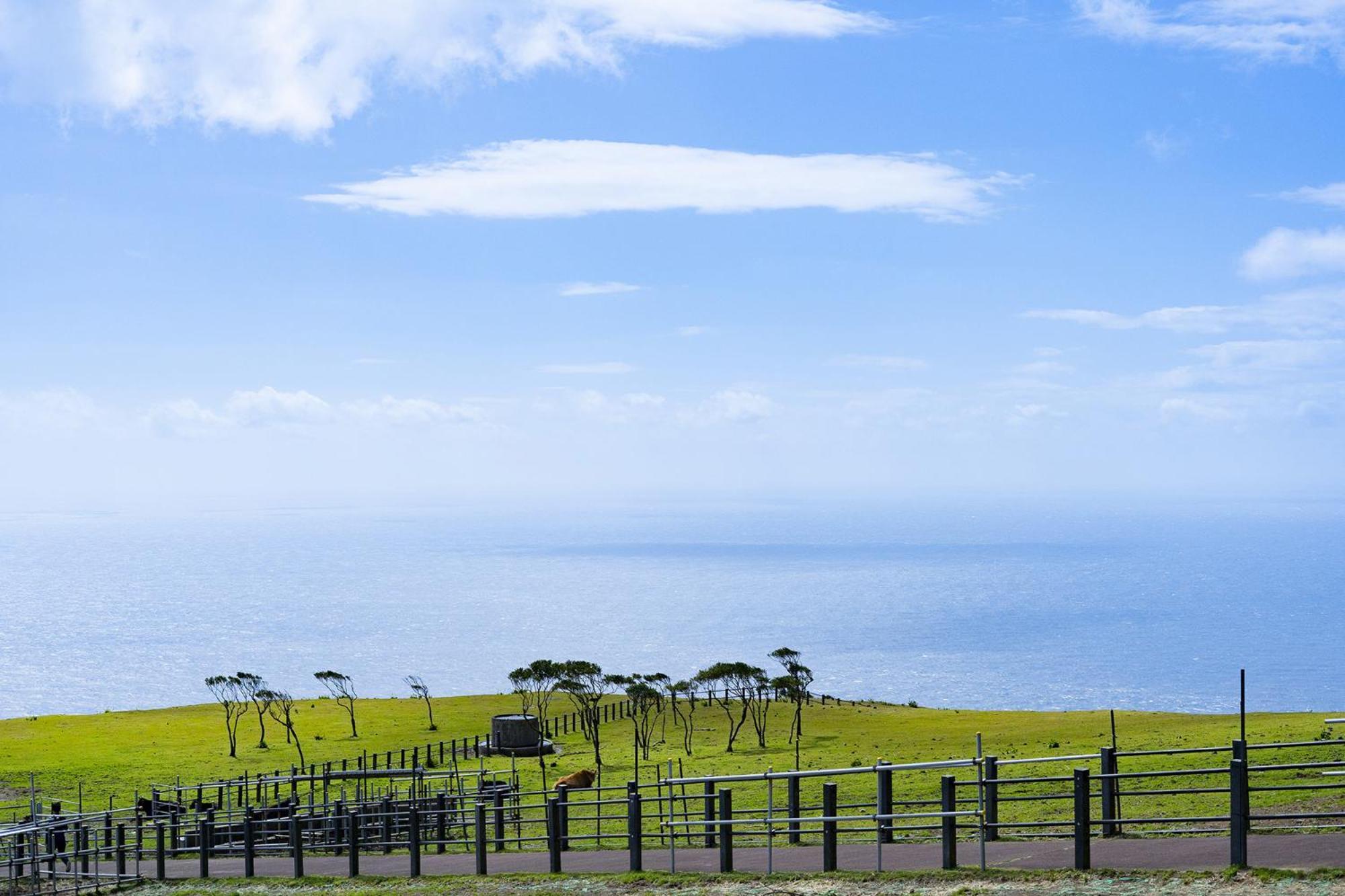 Hachijyo-Island Blue Eight -八丈島ブルーエイト- Villa Mitsune Ngoại thất bức ảnh